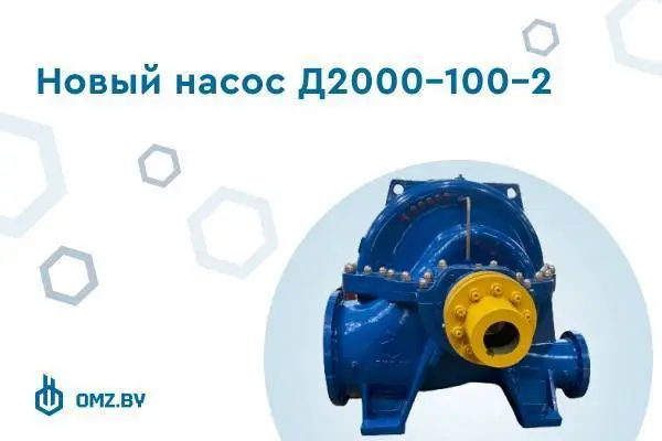 насос Д2000-100-2 фото 1
